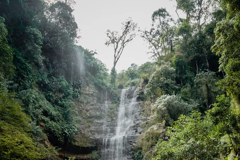 Salto alto de la cascada de Juan Curí entre paredes de roca y bosque, en Páramo