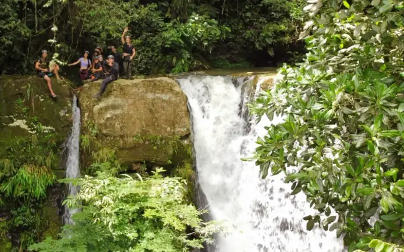 Cascada entre la vegetación en el recorrido de rápel